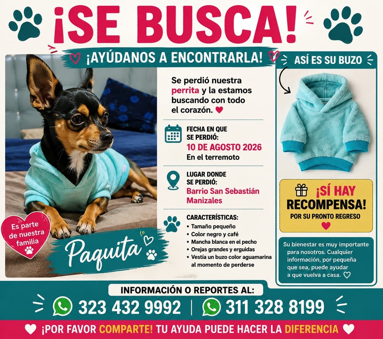 perro perdido en Manizales