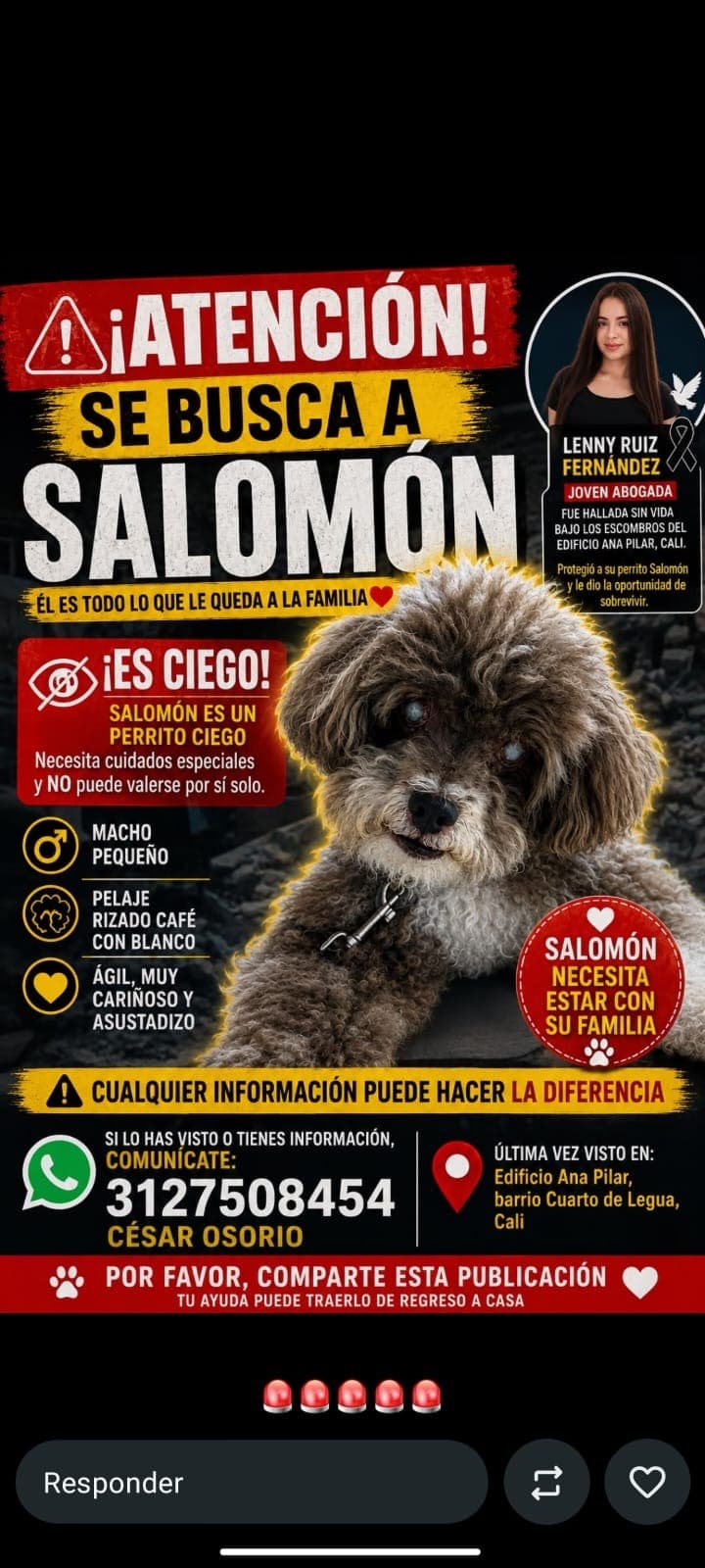perro rescatado en Cali