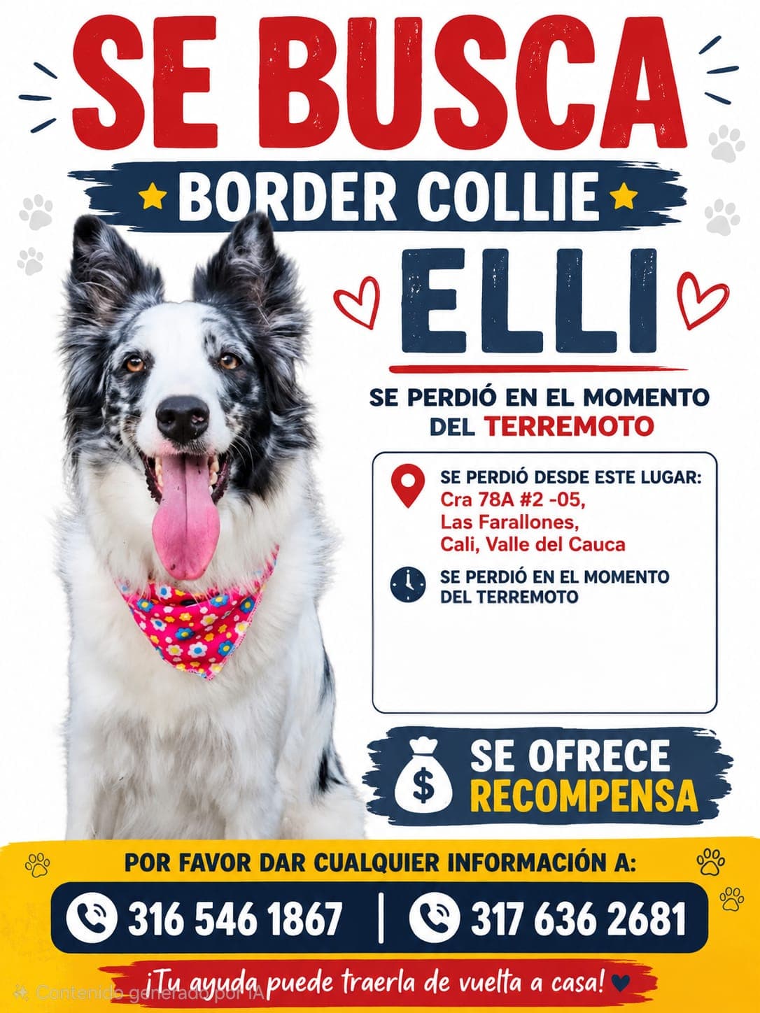 perro perdido en Cali