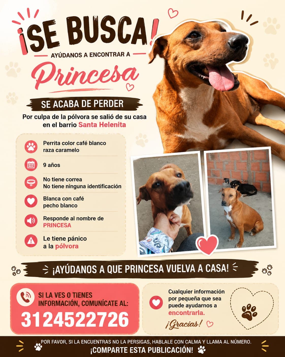 perro perdido en Bogotá
